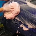 Foto de Enjuague Exterior