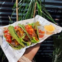 Foto de Tacos Veggie