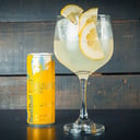 Foto de Tropical Tonic