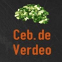 Foto de Cebolla de Verdeo