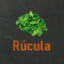 Foto de Rucula