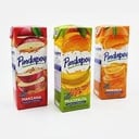 Foto de Pindapoy 200 ml.
