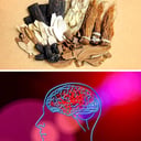 Foto de de ginseng