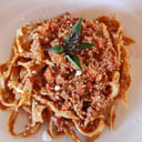 Foto de boloñesa