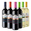 Foto de VINO BLANCO Y TINTO