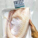 Foto de CONGRIO DORADO