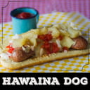 Foto de HAWAIIAN DOG