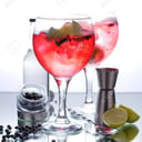 Foto de Gin con frutos Rojos
