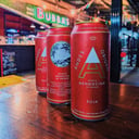 Foto de 3 LATAS ANDES ROJA