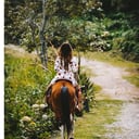 Foto de caballos