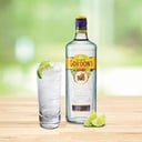 Foto de Gin Tonic