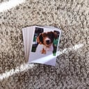 Foto de 6 Polaroid (7,5x10) 
