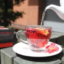 Foto de CANELA FRUTOS ROJOS