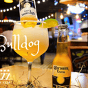 Foto de Bull Dog