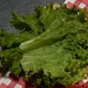Foto de Lechuga