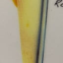 Foto de Piña colada