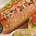 Foto de Perro