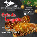 Foto de Cola de Langosta kg. 
