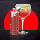 Foto de Tropical Gin Verano