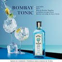 Foto de Gin tónic Bombay 