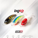 Foto de big