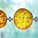 Foto de 1 Muzzarella + 1 Jamón y Queso + Manaos 2.25L