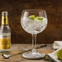 Foto de VODKA TONIC