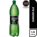 Foto de GINGER ALE