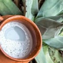 Foto de Pulque curado