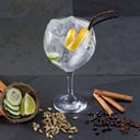 Foto de Gin Tonic