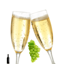 Foto de Vino blanco espumante alegar