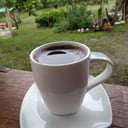 Foto de TINTO
