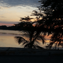 Foto de CENTRO a JARDINES