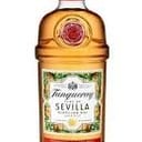 Foto de Tanqueray Flor de Sevilla