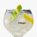 Foto de GINEBRA LARIOS / BEEFEATER CON REFRESCO