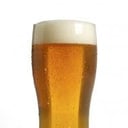 Foto de Pinta 500ml