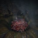 Foto de BARBACOA ESTILO HIDALGO