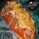 Foto de Perro Mexicano