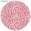 Foto de UVA BORGOÑA