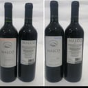 Foto de merlot cosecha 2018