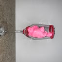 Foto de Fancy Champagne