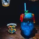 Foto de Ravenclaw