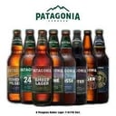 Foto de Patagonia botella de 3/4