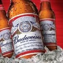Foto de Budweiser 1L