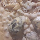 Foto de Macarrones 