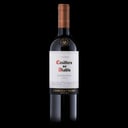 Foto de Casillero del Diablo 700cc