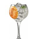 Foto de GINEBRA CON POMELO