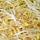 Foto de Germen de Soya