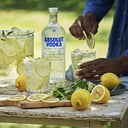 Foto de Absolut Natural copa