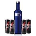 Foto de SKYY REGULAR + 4 SPEED